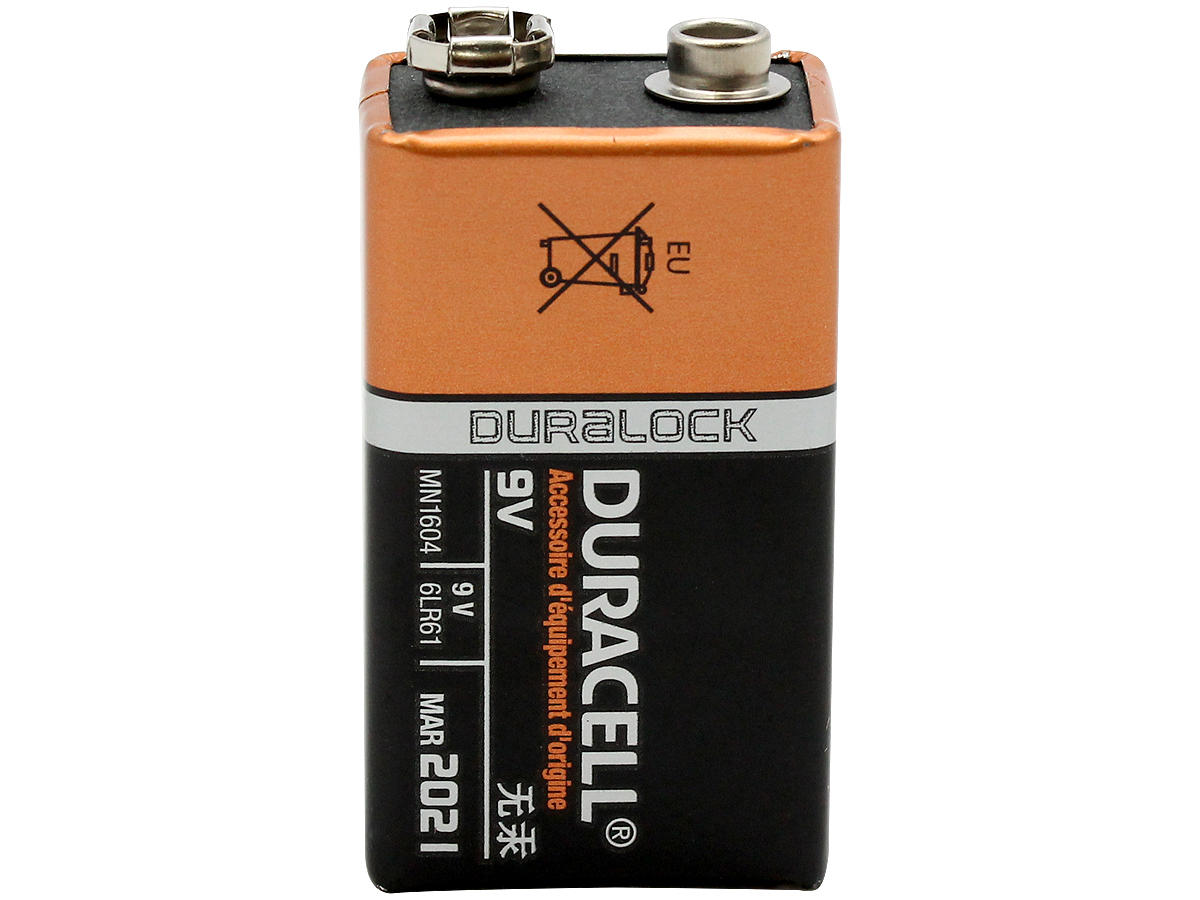 Duracell 9V 6LR61 CopperTop Battery - MN1604B1Z - 2 Pack