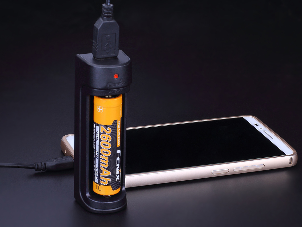 fenix 3 charger